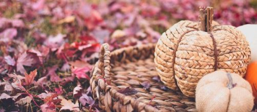 Foliage rosso con zucche in vimini © Pexels