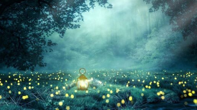 Una lanterna accesa in una foresta (&copy;pixabay.com)