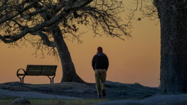 Persona in un parco - © Pexels