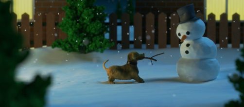 Cagnolino che vuole giocare con il pupazzo di neve © Pixabay