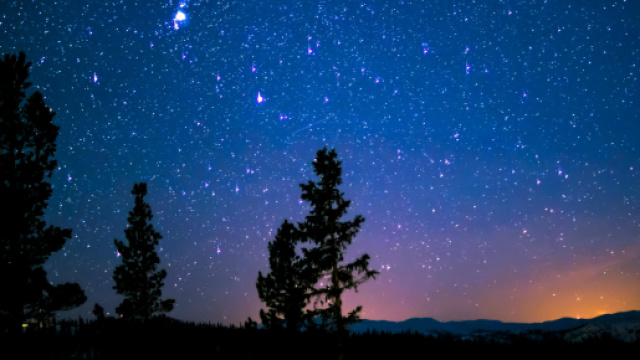 Cielo stellato e alberi © Pexels.com