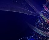 Un albero di Natale illuminato (©pixabay.com).