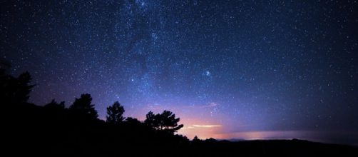 Cielo stellato e alberi © Pexels.com