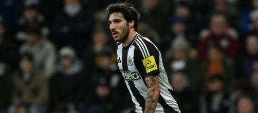 Sandro Tonali, centrocampista del Newcastle. Foto © Newcastle