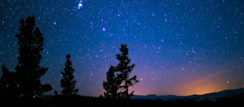 Cielo stellato e alberi © Pexels