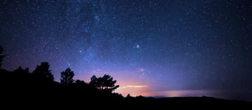 Cielo stellato e alberi © Pexels.com