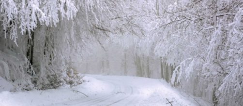 Paesaggio invernale con neve - © Pixabay