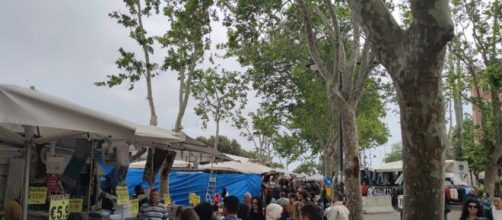 Il mercato di Crotone lungo viale Regina Margherita - © Francesco Trabassi