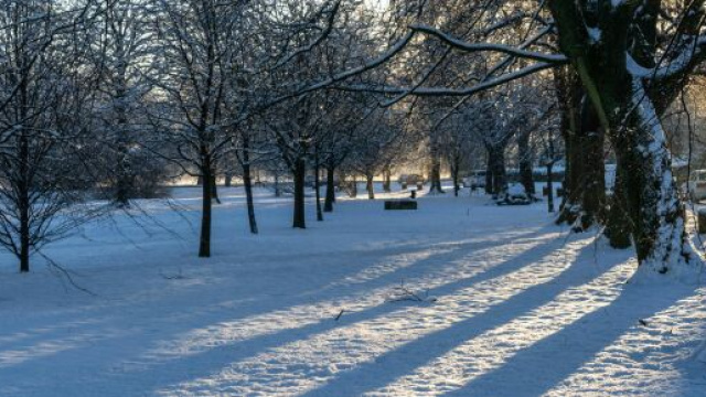Paesaggio innevato e alberi &copy; Pexels.com