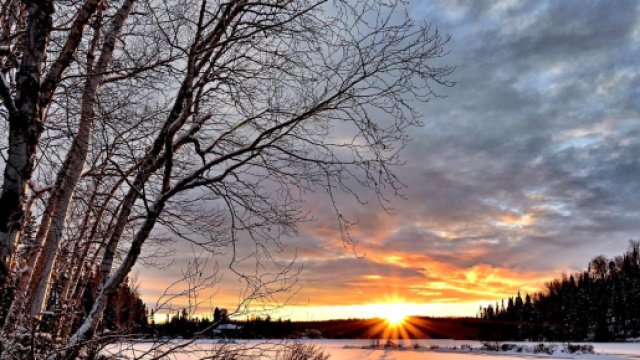 Previsioni del 16 febbraio: i Pesci invitati a seguire la propria passione sul lavoro