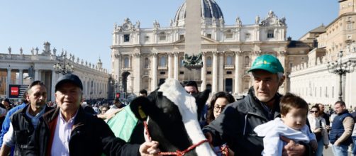 Gli agricoltori portano la protesta anche in Piazza San Pietro.