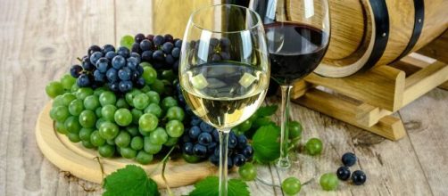 Os vinhos são ótimas opções na Serra Gaúcha (Reprodução/Pixabay)