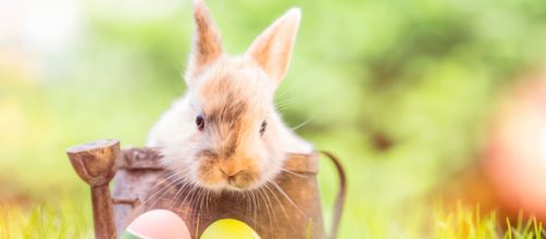 Pasqua, nel 2024 cade il 31 marzo.