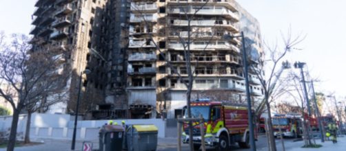 Muchas mascotas murieron atrapadas entre las llamas en el incendio de Valencia (X, @GVA112)