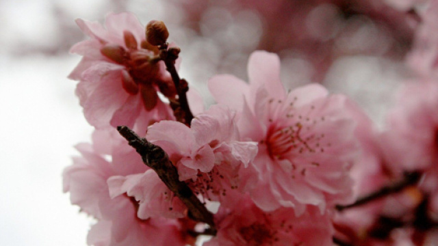 Oroscopo del 16 e del 17 marzo 2024.