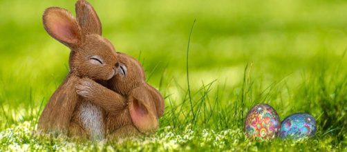 Immagine di Pasqua, coniglietti innamorati che si abbracciano © Immagine presa da Pixabay.