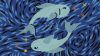 Horóscopo de peixes (30/3): boas expectativas na paquera