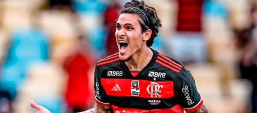 Pedro marcou dois gols (Reprodução/Facebook/FlamengoOficial)