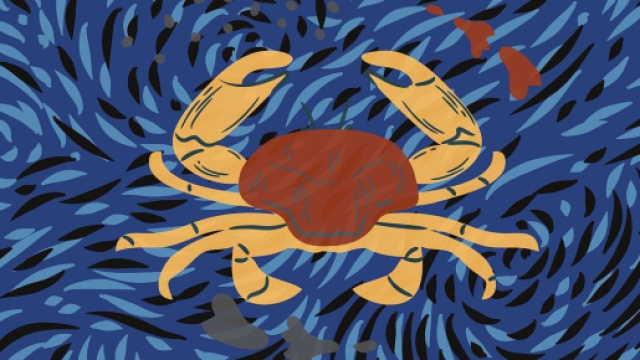 L'oroscopo, classifica del 6 marzo: Cancro affettuoso.