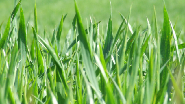 L'oroscopo del 6 marzo 2024: magnetismo per il Leone, creatività onirica per i Pesci.