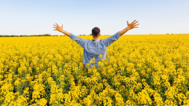 L'oroscopo e classifica di domani 14 marzo: personalit&agrave; in evidenza per l'Ariete (1&ordf;parte).