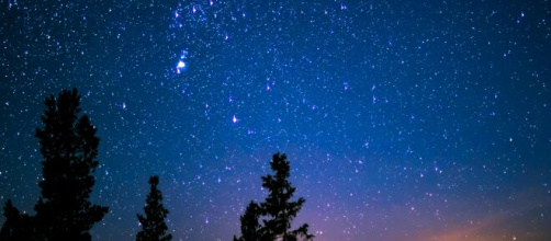 Cielo stellato e alberi © Pexels.com