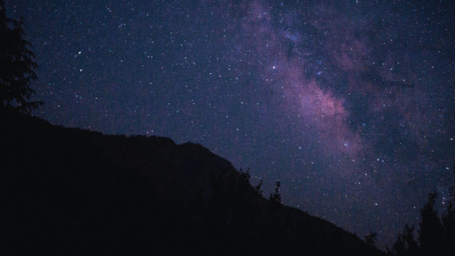 Cielo stellato e alberi © Pexels.com