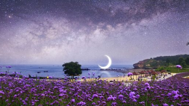 Prato con margherite e la luna sul mare - © Pixabay