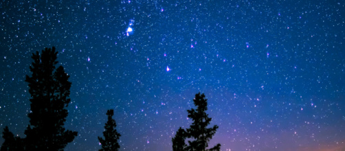 Cielo stellato e alberi © Pexels.com