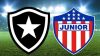 Botafogo x Junior Barranquilla: onde assistir e informações do jogo da Libertadores