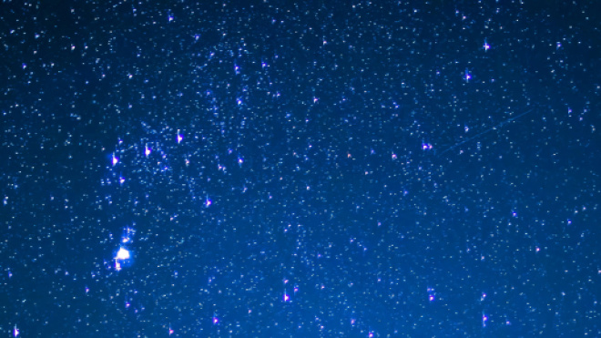 Cielo stellato e alberi © Pexels.com
