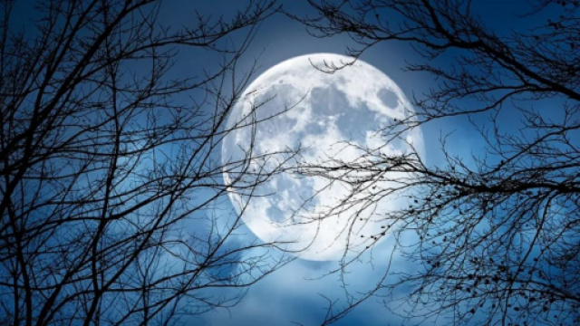 In foto la Luna © Immagine Pixabay