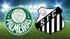 Palmeiras x Santos: onde assistir ao vivo e informações da final