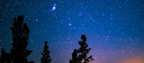 Cielo stellato e alberi © Pexels.com