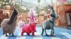 Netflix introduce Power e Thelma the Unicorn tra le nuove uscite del 17 maggio
