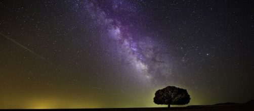 Oroscopo, un albero e un cielo stellato (©pixabay.com)