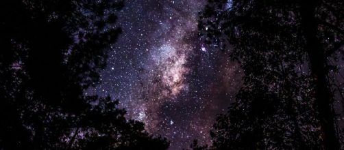 Cielo stellato e alberi - (© Pexels).