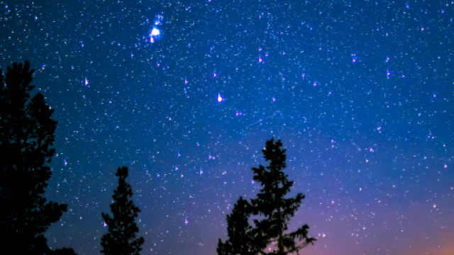 Cielo stellato e alberi © Pexels.com