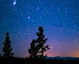 Alberi e cielo stellato © Pexels.com