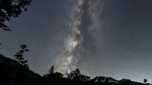 Cielo e stelle sopra il bosco - © Pixabay.