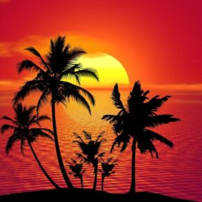 Oroscopo paesaggio tropicale ©Immagine di Pixabay