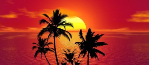 Oroscopo paesaggio tropicale ©Immagine di Pixabay