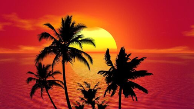 Oroscopo paesaggio tropicale &copy;Immagine di Pixabay