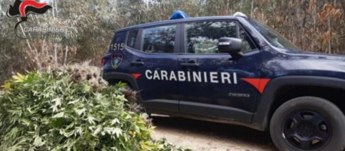 Camionetta dei Carabinieri - © Carabinieri del Nucleo Forestale di Crotone