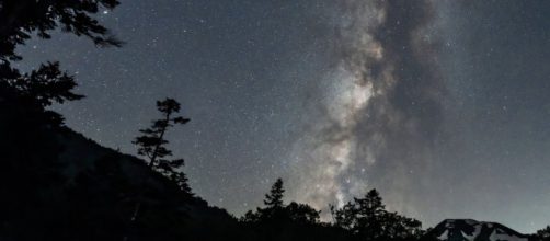 Un bosco al centro di un cielo stellato - © pixabay.com