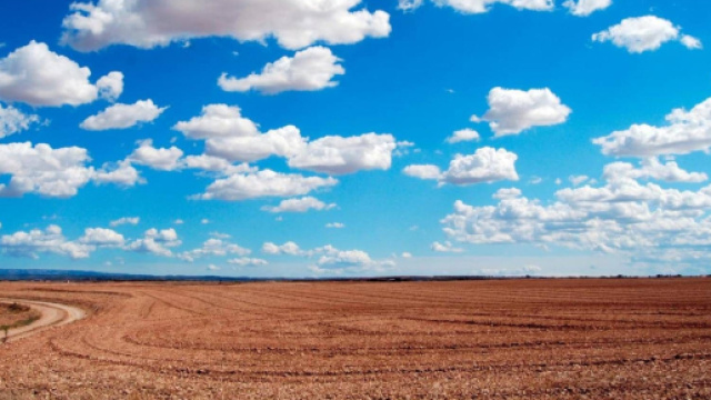 Un campo con il cielo leggermente nuvoloso © Pexels.com