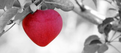 Mela a forma di cuore - Immagine © Pixabay.