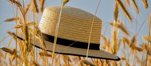 Un cappello in un campo di grano © Immagine di Pixabay.