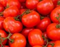Salsa di pomodoro fatta in casa: ricetta tradizionale siciliana
