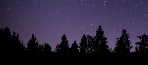Cielo stellato sopra a un bosco © pixabay.com